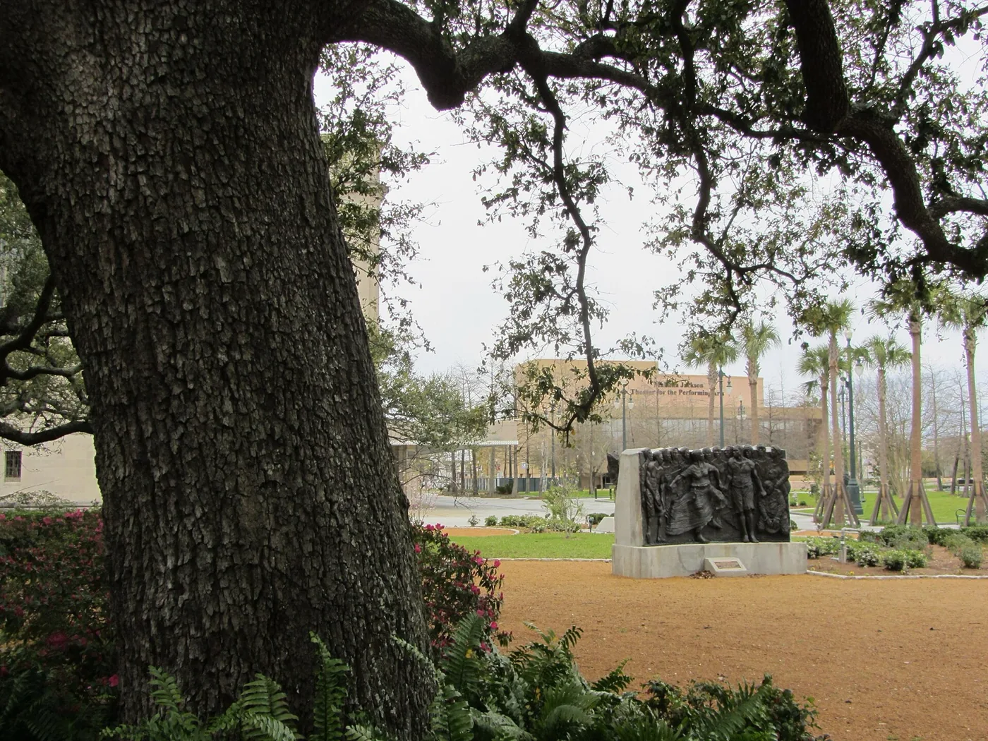 The bronze Congo Square sculpture of dancers and drummers, framed by a live oak, in Louis Armstrong Park, New Orleans