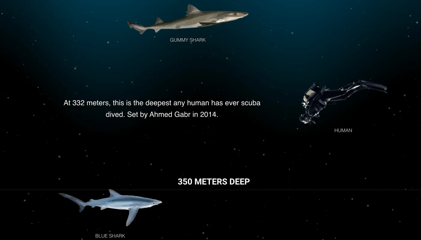 Fun times - Deep Sea