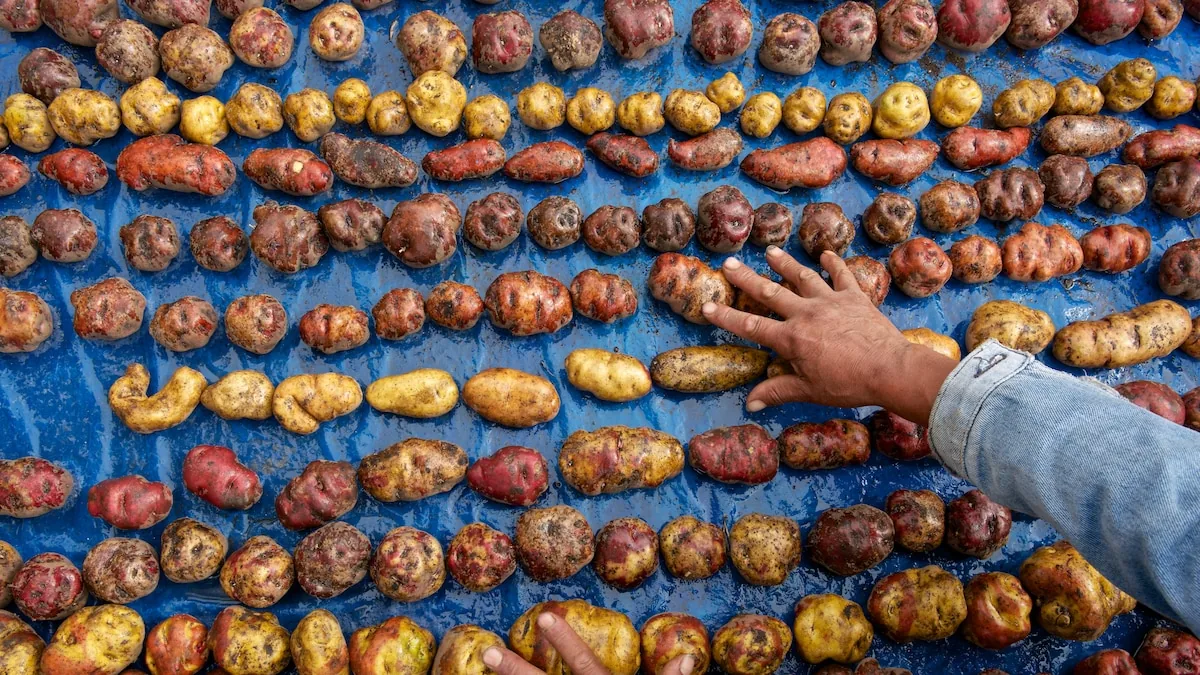 The Man Who Fooled France Into Eating 'Poison'